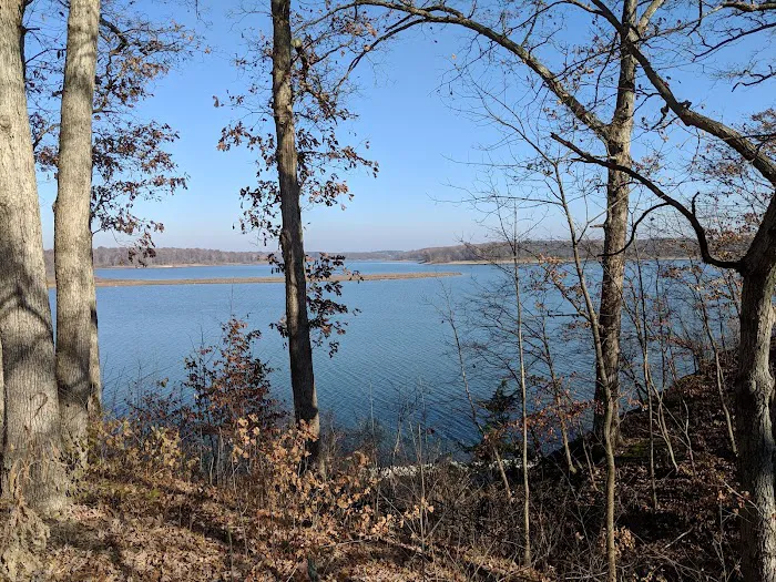 Okaw Bluff Group Camp Picture 7