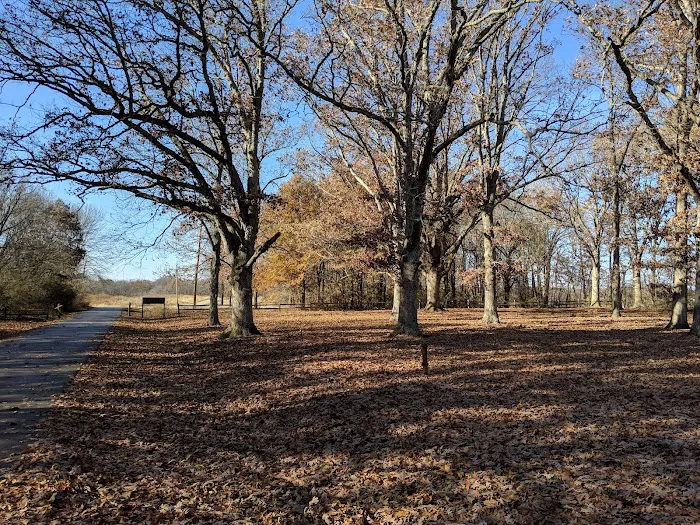 Okaw Bluff Group Camp Picture 8