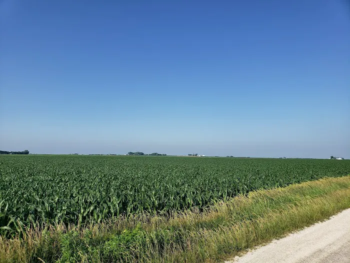 Lone Point Recreation Area Picture 8