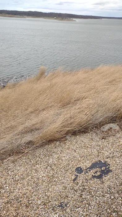 Dam West Day Use Area Picture 8