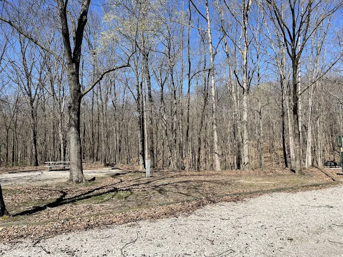 Coon Creek Recreation Area Picture 3