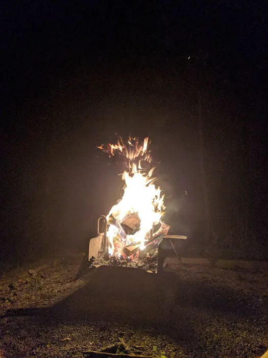 Coon Creek Recreation Area Picture 7