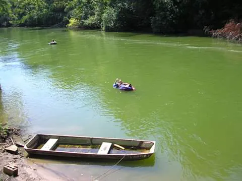 Kaskaskia River Campground Picture 5