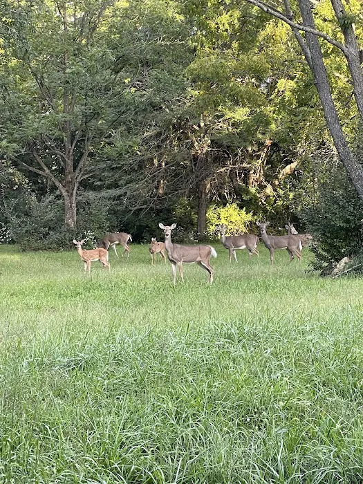 Opossum Creek Recreation Area Picture 7