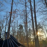 Dixieland Campground ico