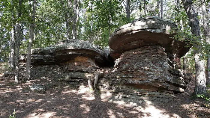 Pharaoh Campground Picture 9