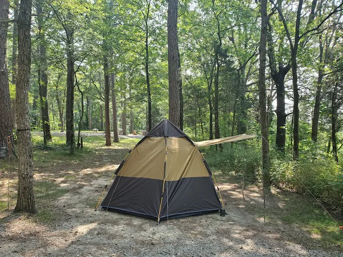 Pharaoh Campground Picture 1