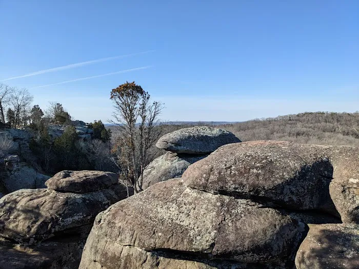 Pharaoh Campground Picture 3