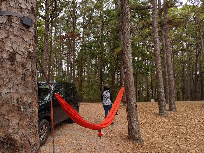 Pharaoh Campground Picture 8