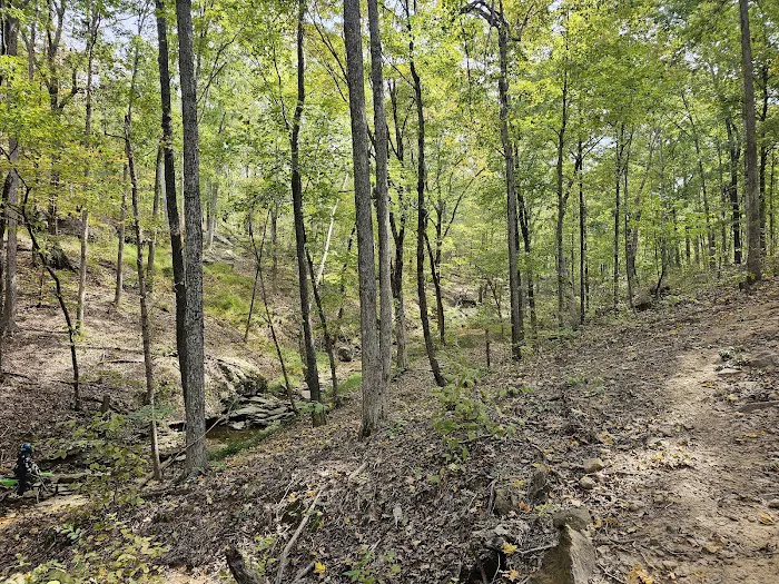 Williams Hill Pass RV Campground & OHV Park Picture 2