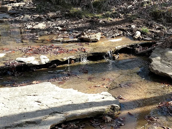 Williams Hill Pass RV Campground & OHV Park Picture 8