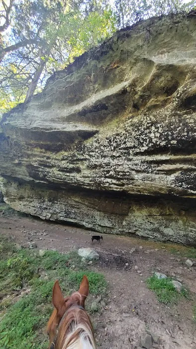 TK Ranch Campground Picture 1