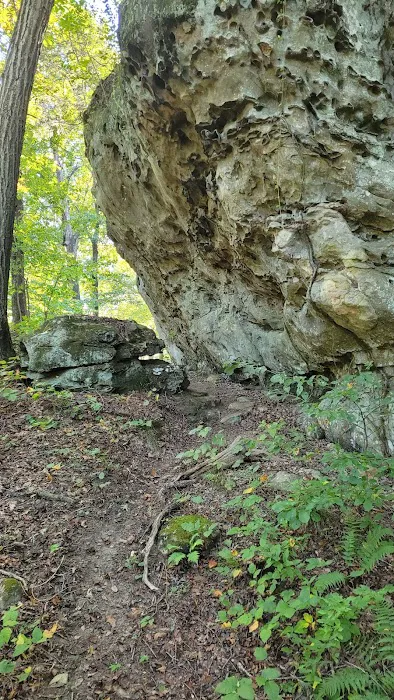 TK Ranch Campground Picture 4