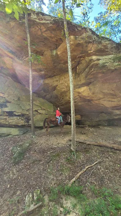 TK Ranch Campground Picture 2