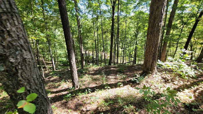 TK Ranch Campground Picture 3