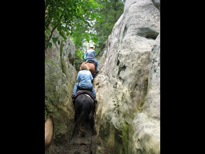 TK Ranch Campground Picture 9