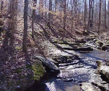 Whispering Harvest Campground