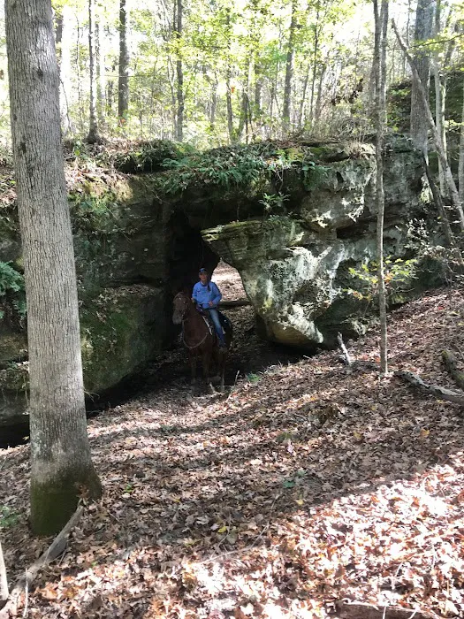 LITTLE LUSK TRAIL LODGE CAMPGROUND Picture 1