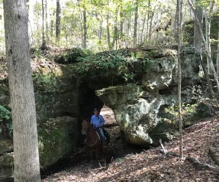 LITTLE LUSK TRAIL LODGE CAMPGROUND