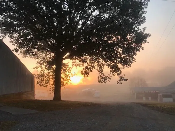 LITTLE LUSK TRAIL LODGE CAMPGROUND Picture 2