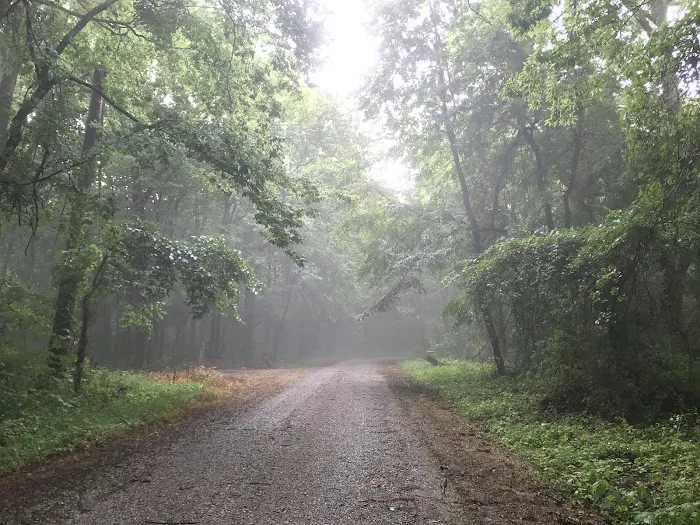 Steamboat Hill Campground Picture 3
