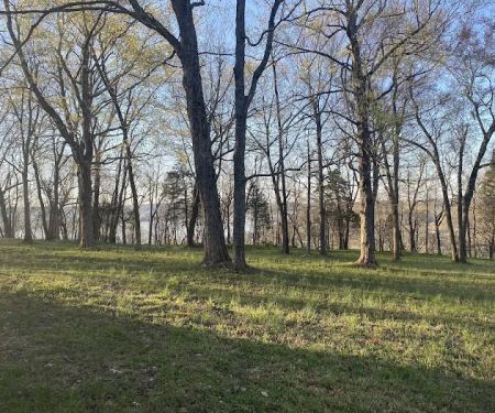 Steamboat Hill Campground