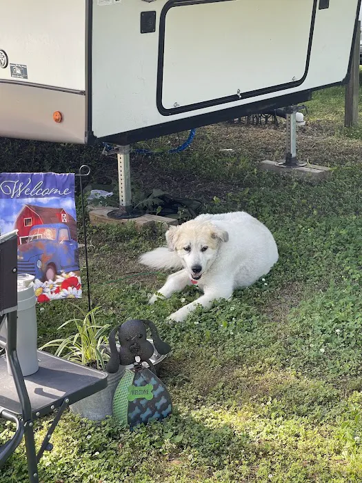 Deer Run Campground LLC Picture 3