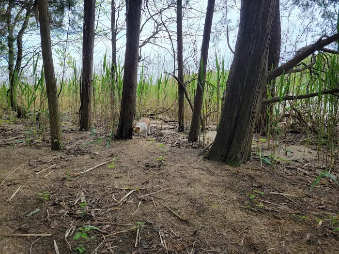 Seven Points Campground Picture 6