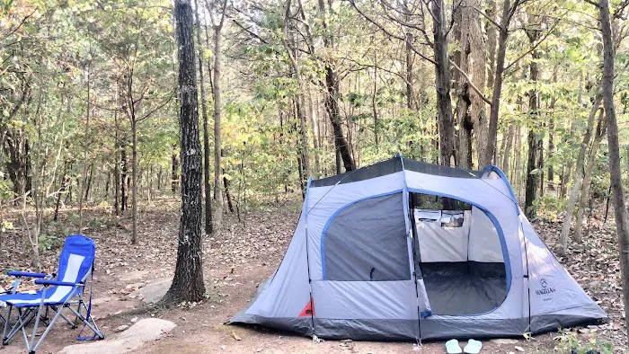 Anderson Road Campground Picture 5