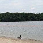 Anderson Road Campground