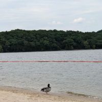 Anderson Road Campground ico