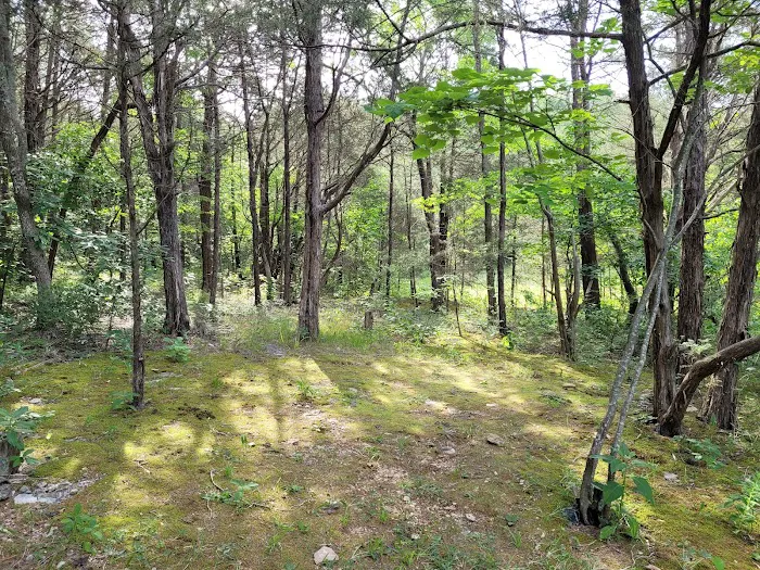 Anderson Road Campground Picture 10