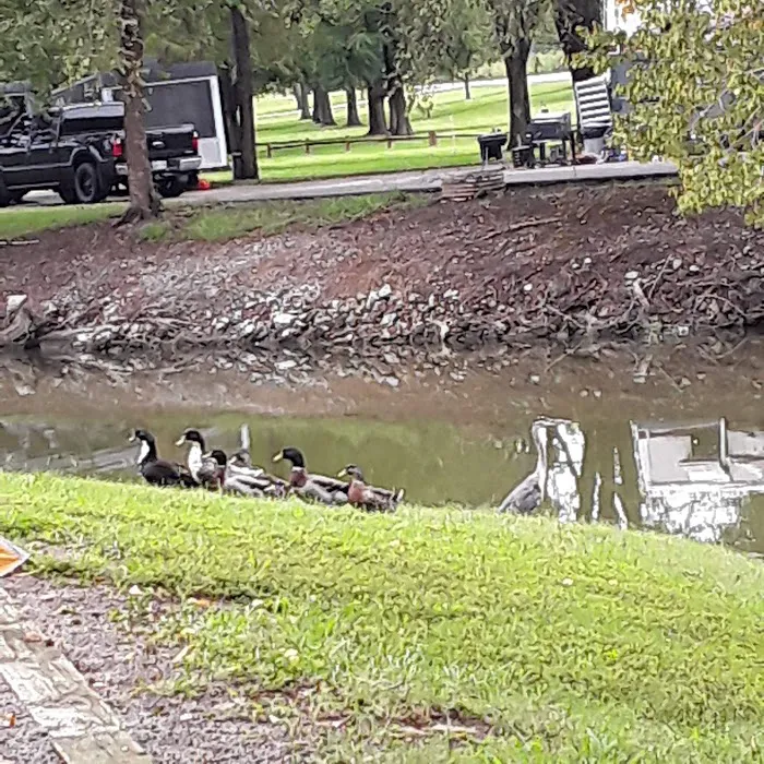 Lock A Campground Picture 8