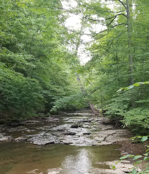 Montgomery Bell Campground Picture 1