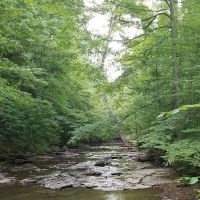 Montgomery Bell Campground ico