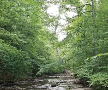 Montgomery Bell Campground