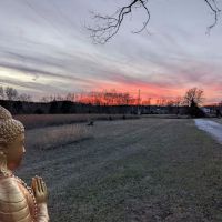 Sacred Dog Ranch Glamping ico