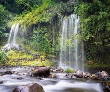 Montgomery Bell State Park Group Camp 2