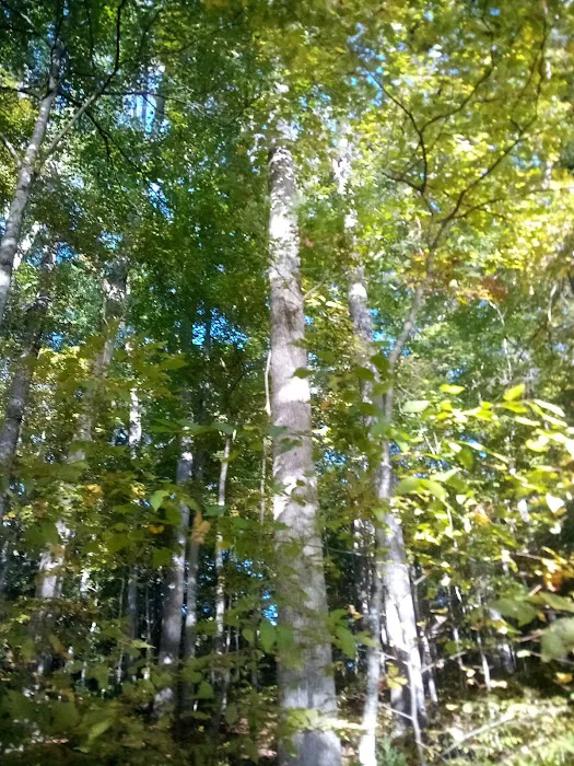 Montgomery Bell State Park Group Camp 2 Picture 6