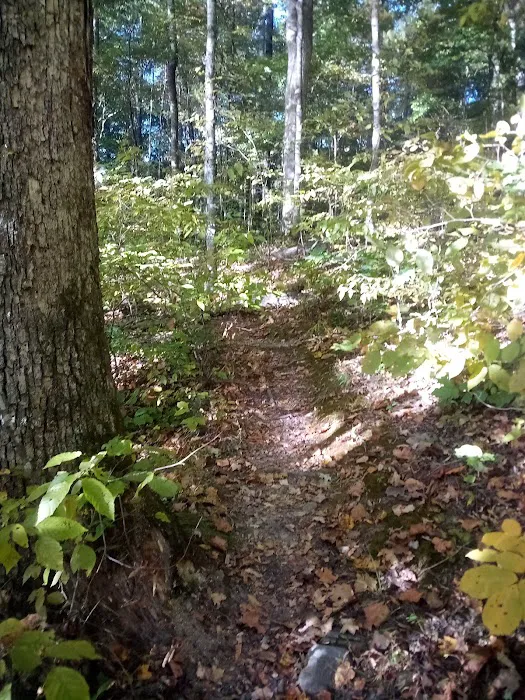 Montgomery Bell State Park Group Camp 2 Picture 7