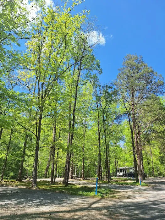 Montgomery Bell State Park Group Camp 1 Picture 4