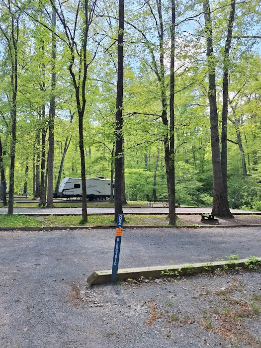 Montgomery Bell State Park Group Camp 1 Picture 6