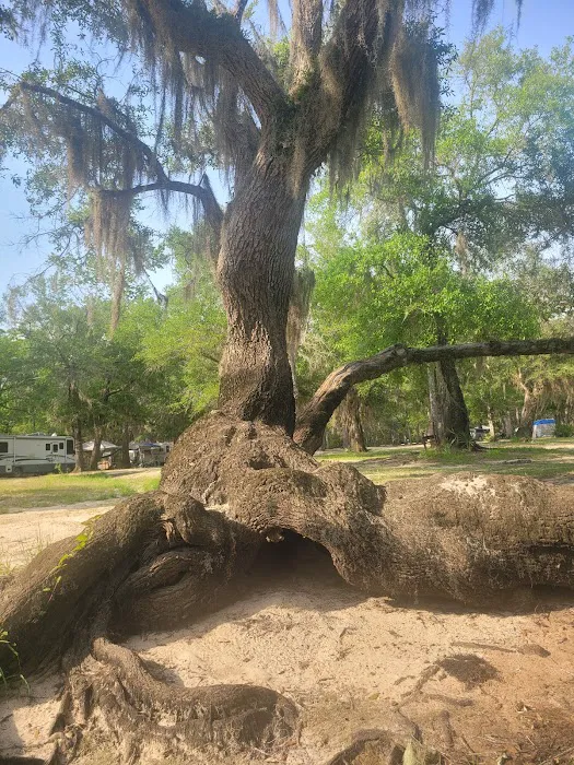 Barrington County Park Picture 2