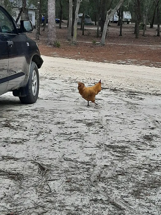 Barrington County Park Picture 7