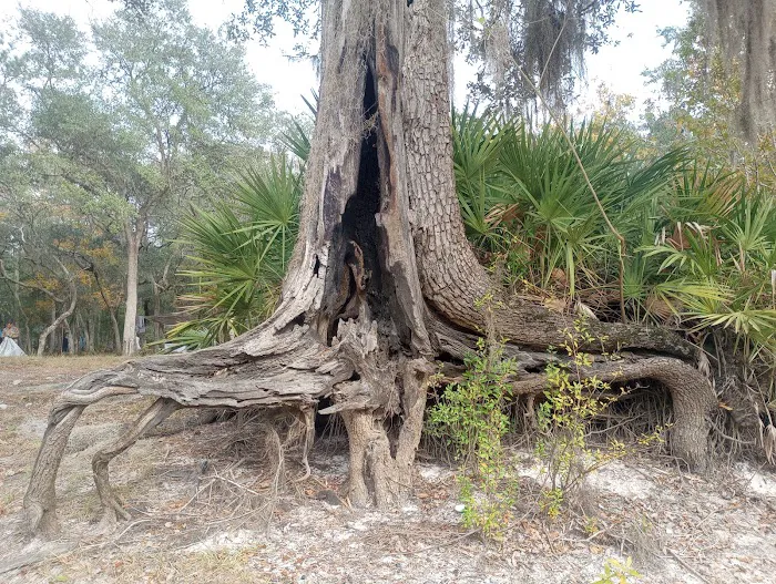 Barrington County Park Picture 10