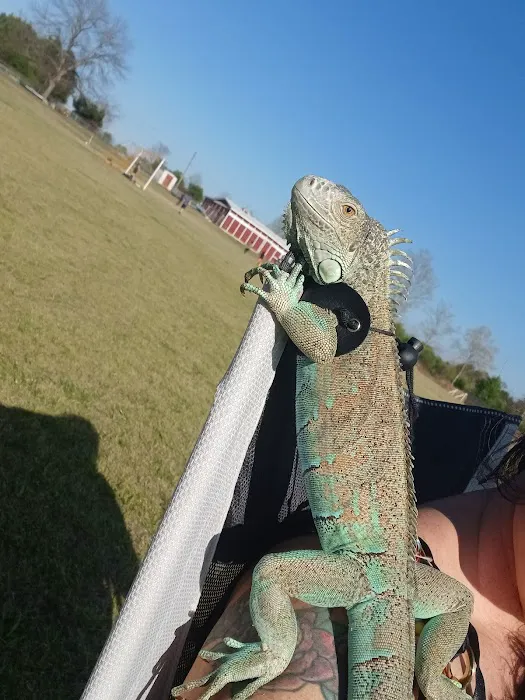 Barrington County Park Picture 1