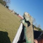 Barrington County Park