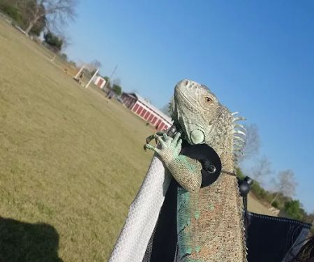 Barrington County Park