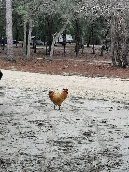 Barrington County Park Picture 6