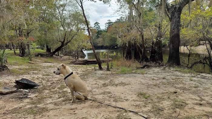 Barrington County Park Picture 8